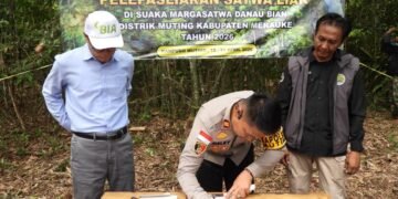 Polsek Muting Bersinergi dengan KSDA Lepasliarkan Satwa Dilindungi di Rawa Bian