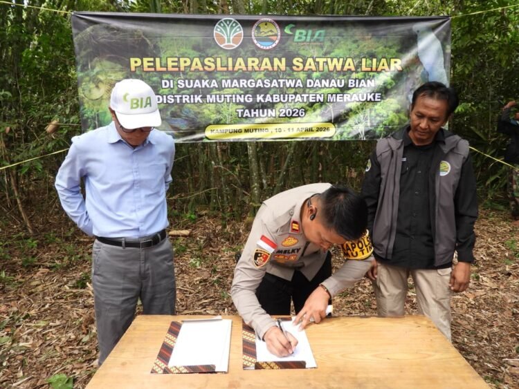 Polsek Muting Bersinergi dengan KSDA Lepasliarkan Satwa Dilindungi di Rawa Bian