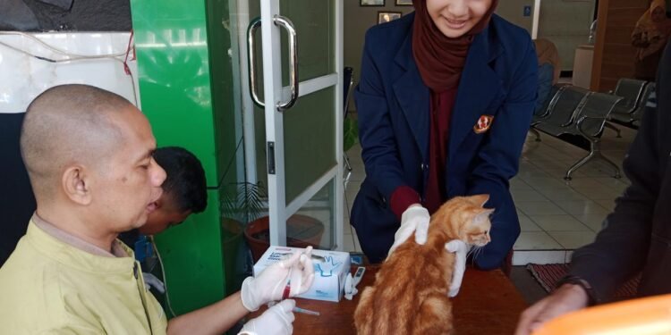 Vaksin Rabies Gratis! Warga Apresiasi Gerakan Bangsawan