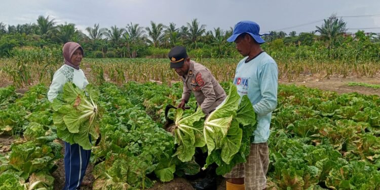 Polsek Muara Tami Sambangi Kelompok Tani Koya Barat, Perkuat Ketahanan Pangan Masyarakat