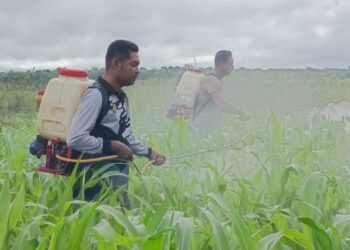 Polres Boven Digoel Gelar Ruang Edukasi Bagi Anak Putus Sekolah, Tingkatkan Literasi Dan Pola Hidup Sehat
