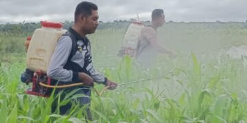 Polres Boven Digoel Gelar Ruang Edukasi Bagi Anak Putus Sekolah, Tingkatkan Literasi Dan Pola Hidup Sehat