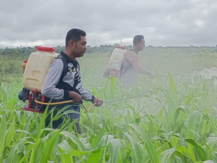 Polres Boven Digoel Gelar Ruang Edukasi Bagi Anak Putus Sekolah, Tingkatkan Literasi Dan Pola Hidup Sehat