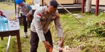 Polsek Numfor Barat Musnahkan Puluhan Botol Miras Hasil Sitaan Operasi Lilin 2025