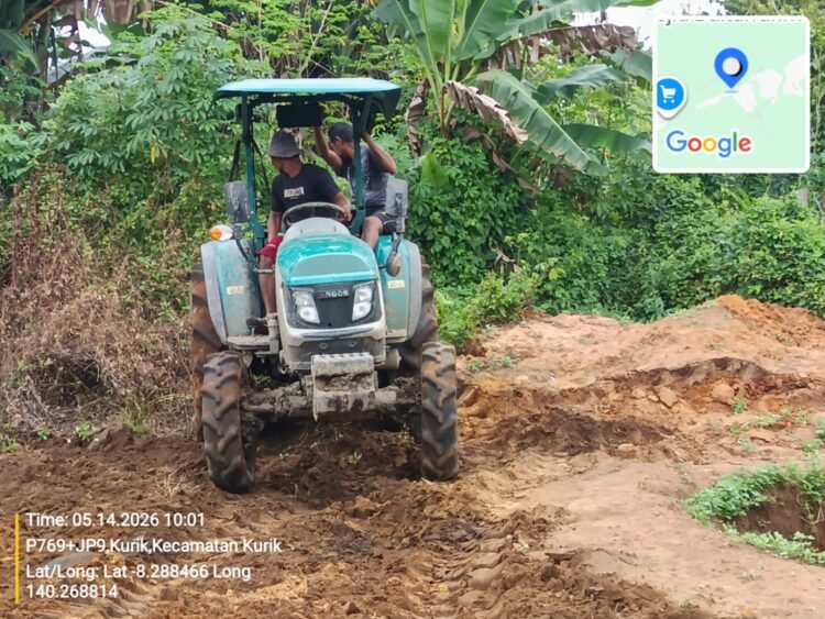 Dukung Ketahanan Pangan, Polsek Kurik Manfaatkan Lahan Produktif untuk Penanaman Jagung dan Rumput Gajah 