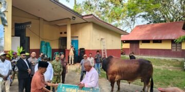 Polres Merauke Hadiri Penyerahan Sapi Banmas Presiden RI, Wujud Kepedulian Menjelang Idul Adha 