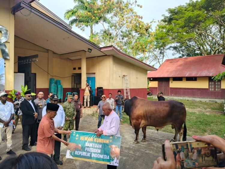 Polres Merauke Hadiri Penyerahan Sapi Banmas Presiden RI, Wujud Kepedulian Menjelang Idul Adha 