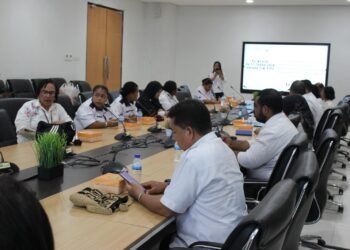 Perkuat Sinergi Lintas Sektor, Koordinasi Layanan Pengasuhan Alternatif Digelar di Provinsi Papua