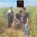 Kurang dari 1×12 Jam, Tim URC Polres Jayapura Ungkap Kasus Curas dan Kekerasan Seksual di Doyo Baru