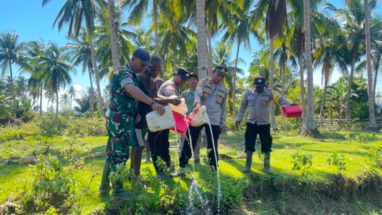 Polsek Okaba Gencarkan Razia Miras Lokal, Puluhan Liter Sagero Dimusnahkan di Kampung Dufmira