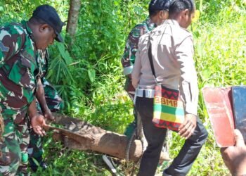 Polres Sarmi Amankan Mortir Aktif Peninggalan Perang Dunia II yang Ditemukan di Pantai Kelapa 1