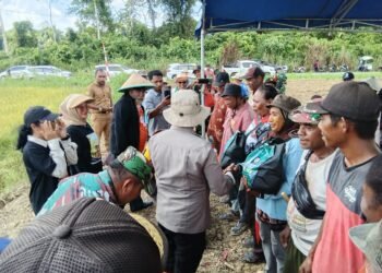 Dukung Ketahanan Pangan Nasional, Kapolsek Bonggo Turun Langsung Tanam dan Panen Padi Bersama Petani