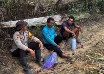 Wujud Nyata Dukung Ketahanan Pangan, Bhabinkamtibmas Banjar Ausoy Turun Langsung Bantu Warga Panen Jagung