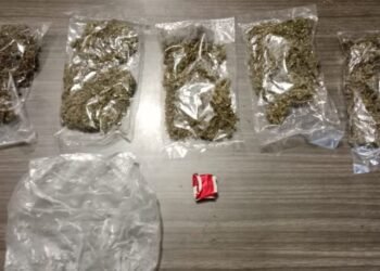 Satresnarkoba Polresta Jayapura Kota Gagalkan Peredaran Ganja, Dua Pemuda Diamankan