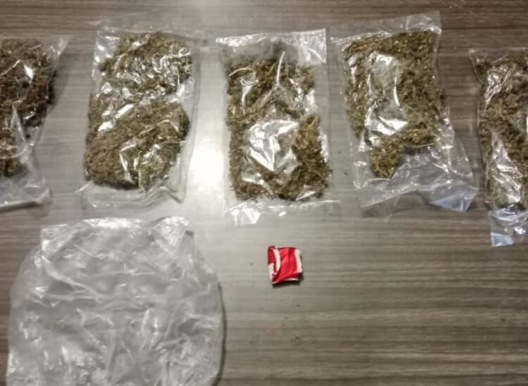 Satresnarkoba Polresta Jayapura Kota Gagalkan Peredaran Ganja, Dua Pemuda Diamankan