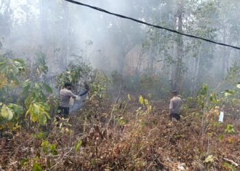Gerak Cepat Polres Biak Numfor Tangani Karhutla di Yendidori, Dua Titik Api Berhasil Dipadamkan