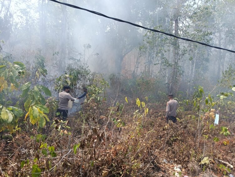 Gerak Cepat Polres Biak Numfor Tangani Karhutla di Yendidori, Dua Titik Api Berhasil Dipadamkan