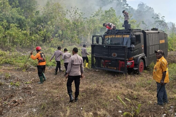 Polda Papua Tegaskan Penanganan Karhutla Secara Profesional dan Berlandaskan Hukum
