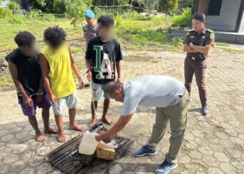 Sat Narkoba Polresta Musnahkan 1,18 Kilogram Ganja Hasil Pengungkapan Dua Kasus Narkotika