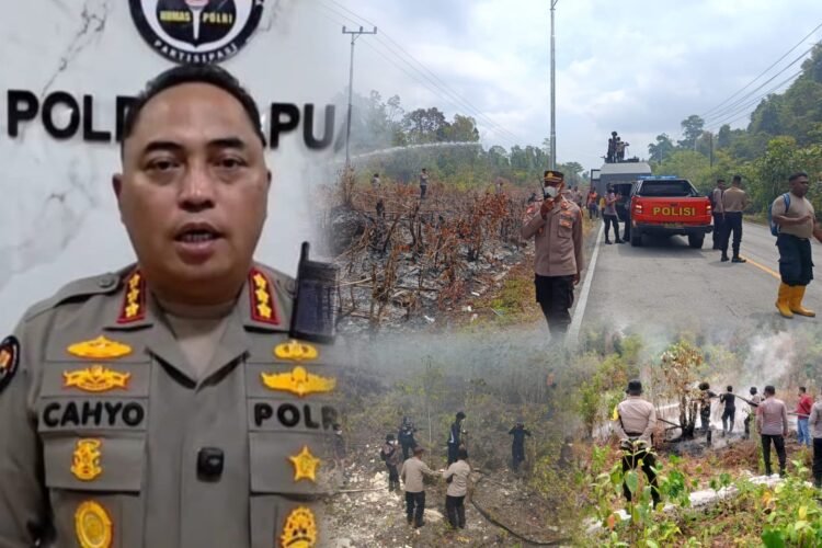 Polda Papua Siaga Karhutla, Pembakaran Lahan Sembarangan Ditindak Tegas