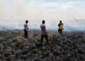 Dekat Permukiman Warga, Polsek Kurik Bersama Tim Gabungan Padamkan Kebakaran Lahan