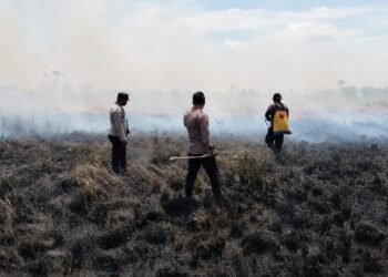 Dekat Permukiman Warga, Polsek Kurik Bersama Tim Gabungan Padamkan Kebakaran Lahan