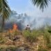 Sinergi Polri, TNI dan Warga, Kebakaran Lahan di Kampung Harapan Makmur Berhasil Dipadamkan