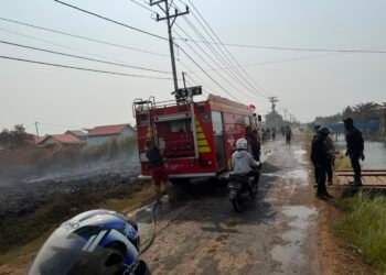 Karhutla di Jalan Kaliwedah 1 Sempat Dekati Permukiman, Polres Merauke Bersama Damkar dan BPBD Bergerak Cepat