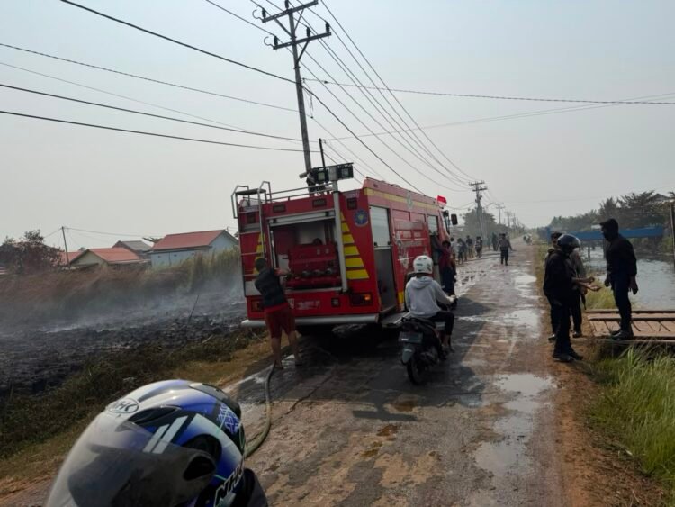 Karhutla di Jalan Kaliwedah 1 Sempat Dekati Permukiman, Polres Merauke Bersama Damkar dan BPBD Bergerak Cepat