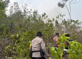 Polres Biak Numfor Bergerak Cepat Tangani Karhutla di Kampung Urfu Sub Yendidori