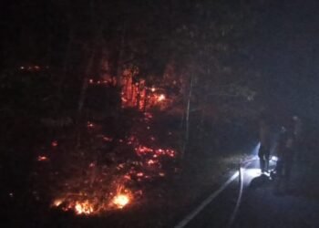 Memasuki Satu Bulan, Tim AWC Polres Biak Numfor Terus Berjibaku Padamkan Karhutla di Yendidori