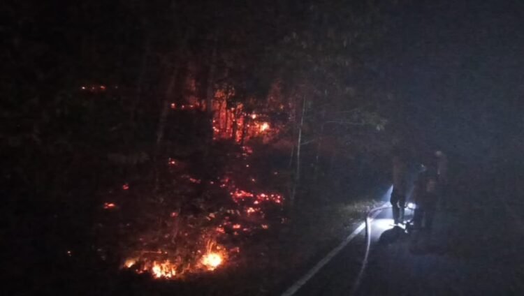 Memasuki Satu Bulan, Tim AWC Polres Biak Numfor Terus Berjibaku Padamkan Karhutla di Yendidori