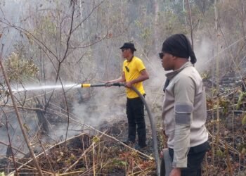 Cegah Karhutla Menjalar ke Fasilitas PLN, Polres Biak Numfor Gerak Cepat Padamkan Api di Kampung Urfu