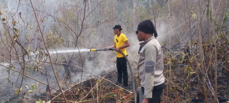 Cegah Karhutla Menjalar ke Fasilitas PLN, Polres Biak Numfor Gerak Cepat Padamkan Api di Kampung Urfu