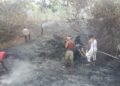 Kebakaran Hutan di Awayanka Berhasil Dipadamkan, Polsek Mindiptana Bersama Warga Bertindak Cepat