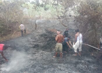 Kebakaran Hutan di Awayanka Berhasil Dipadamkan, Polsek Mindiptana Bersama Warga Bertindak Cepat