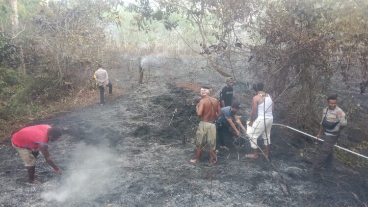 Kebakaran Hutan di Awayanka Berhasil Dipadamkan, Polsek Mindiptana Bersama Warga Bertindak Cepat
