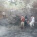 Kebakaran Hutan di Awayanka Berhasil Dipadamkan, Polsek Mindiptana Bersama Warga Bertindak Cepat