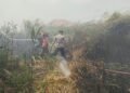 Kebakaran Lahan Ancam Permukiman, Petugas Gabungan Berhasil Jinakkan Api