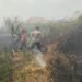 Kebakaran Lahan Ancam Permukiman, Petugas Gabungan Berhasil Jinakkan Api