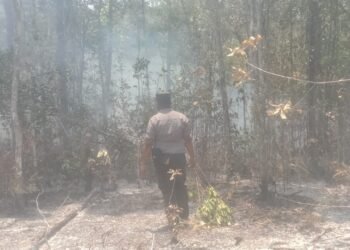 Polsek Bomakia Respons Kebakaran Hutan di Boma II, Upaya Pemadaman Terus Dilakukan