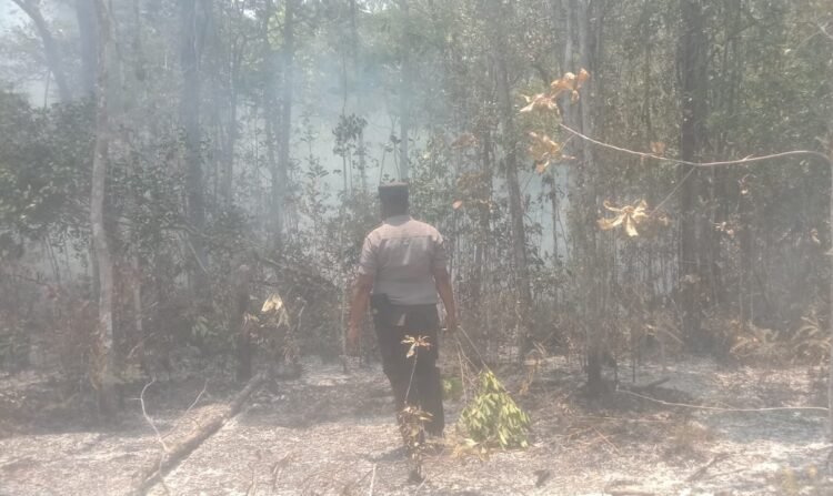 Polsek Bomakia Respons Kebakaran Hutan di Boma II, Upaya Pemadaman Terus Dilakukan