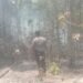 Polsek Bomakia Respons Kebakaran Hutan di Boma II, Upaya Pemadaman Terus Dilakukan